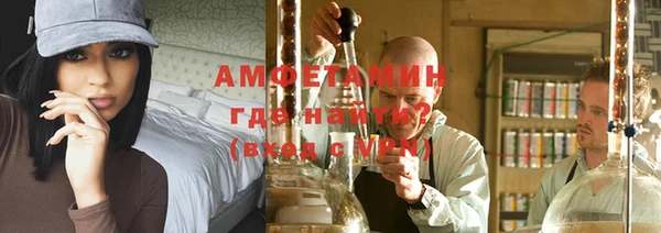 молекула духа Богданович