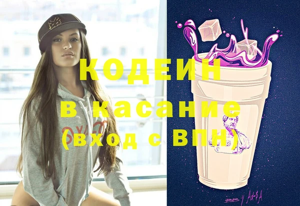 молекула духа Богданович