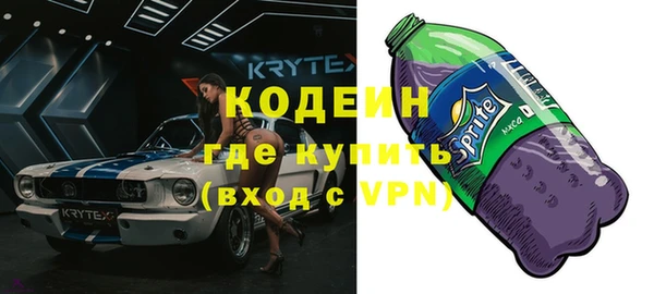 молекула духа Богданович