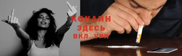 молекула духа Богданович