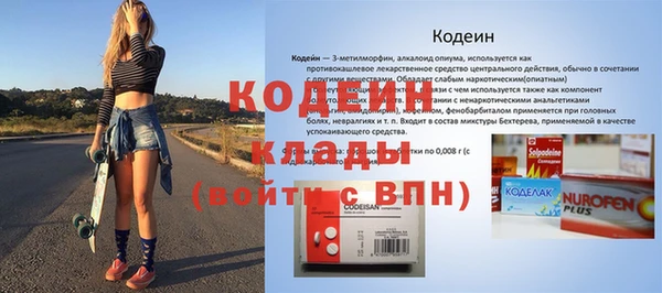 молекула духа Богданович
