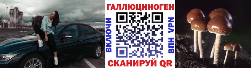 где можно купить   Ессентуки  mega рабочий сайт  Галлюциногенные грибы мицелий 